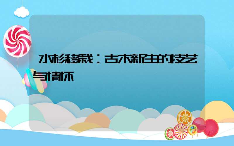 水杉移栽：古木新生的技艺与情怀