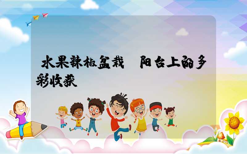 水果辣椒盆栽:阳台上的多彩收获