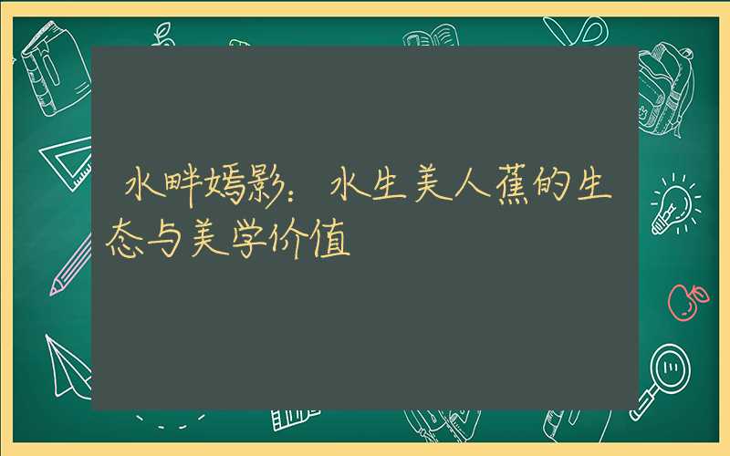 水畔嫣影：水生美人蕉的生态与美学价值