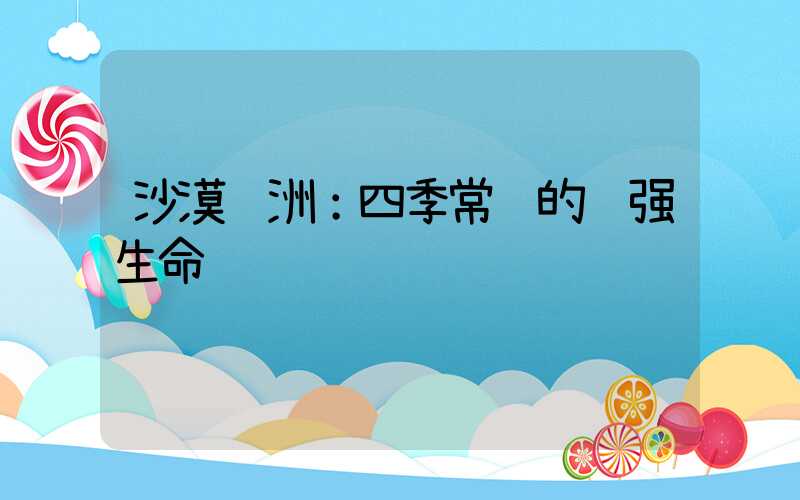 沙漠绿洲：四季常绿的顽强生命