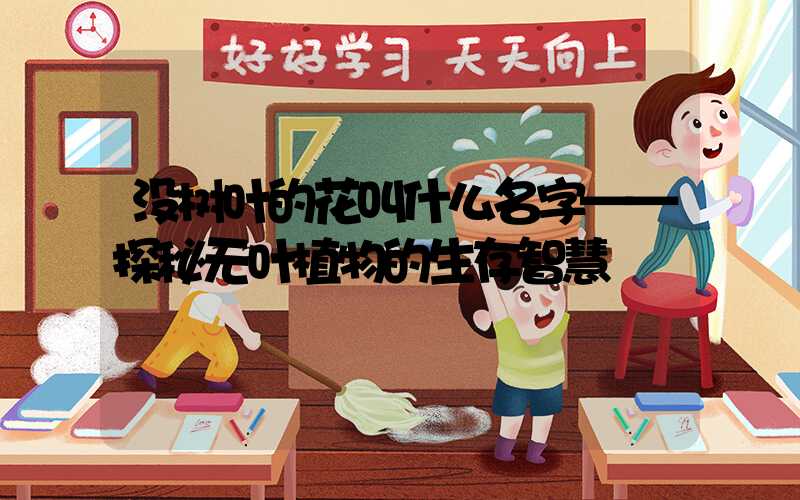 没树叶的花叫什么名字——探秘无叶植物的生存智慧