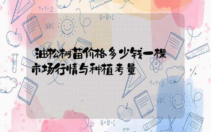 油松树苗价格多少钱一棵:市场行情与种植考量