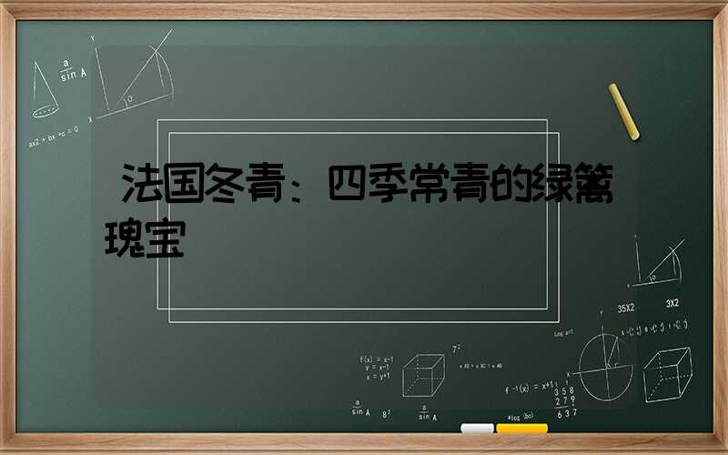 法国冬青：四季常青的绿篱瑰宝