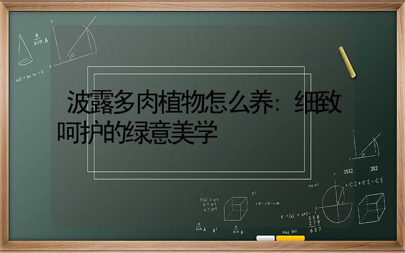 波露多肉植物怎么养:细致呵护的绿意美学