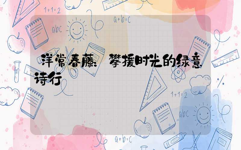 洋常春藤：攀援时光的绿意诗行