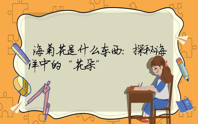 海菊花是什么东西:探秘海洋中的“花朵”