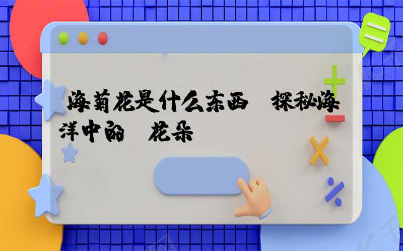 海菊花是什么东西：探秘海洋中的“花朵”