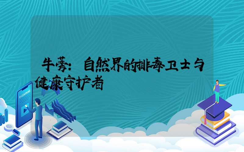 牛蒡:自然界的排毒卫士与健康守护者