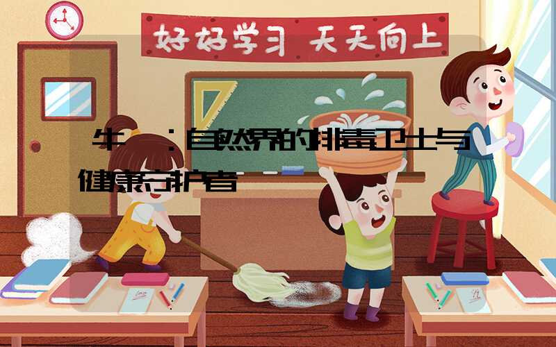 牛蒡：自然界的排毒卫士与健康守护者