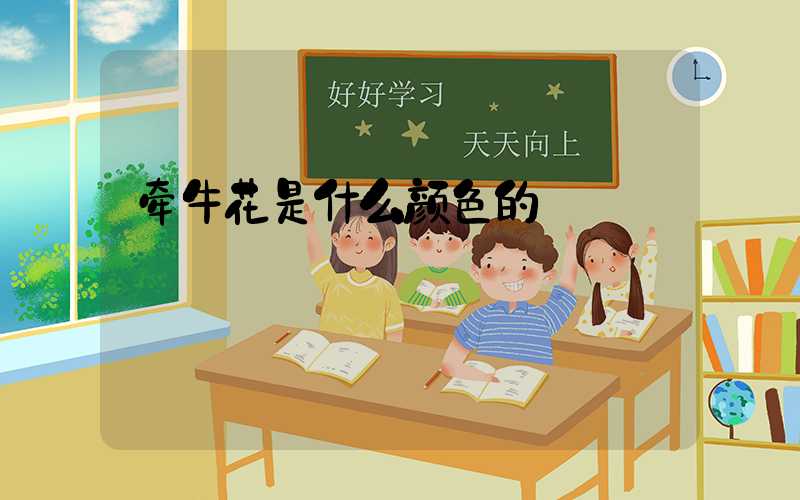 牵牛花是什么颜色的