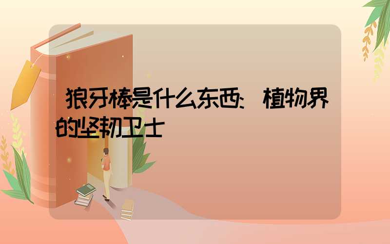 狼牙棒是什么东西:植物界的坚韧卫士