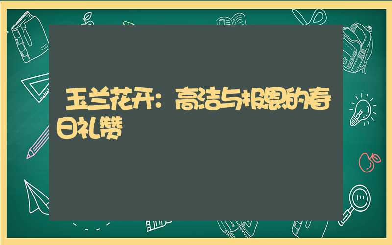 玉兰花开：高洁与报恩的春日礼赞