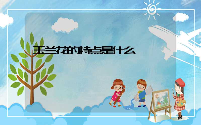 玉兰花的特点是什么