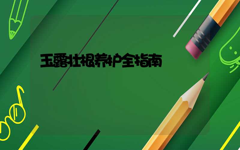 玉露壮根养护全指南