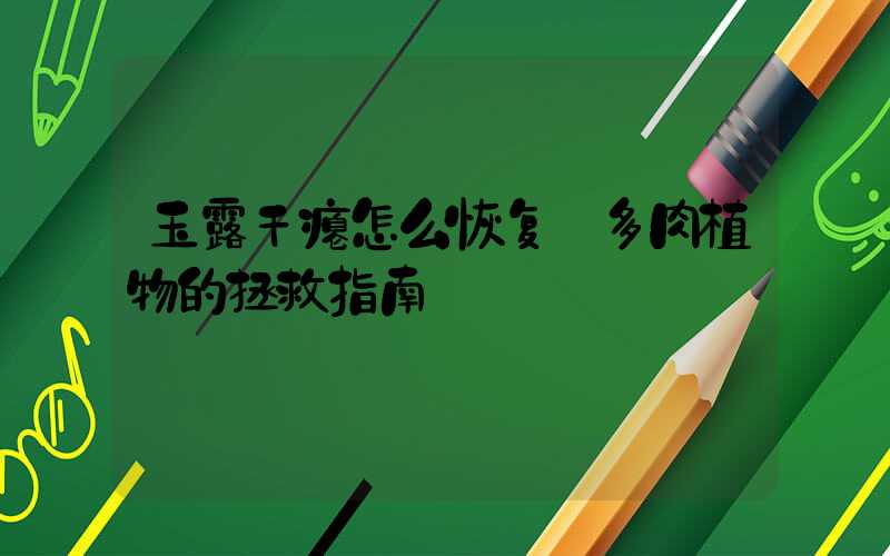 玉露干瘪怎么恢复:多肉植物的拯救指南