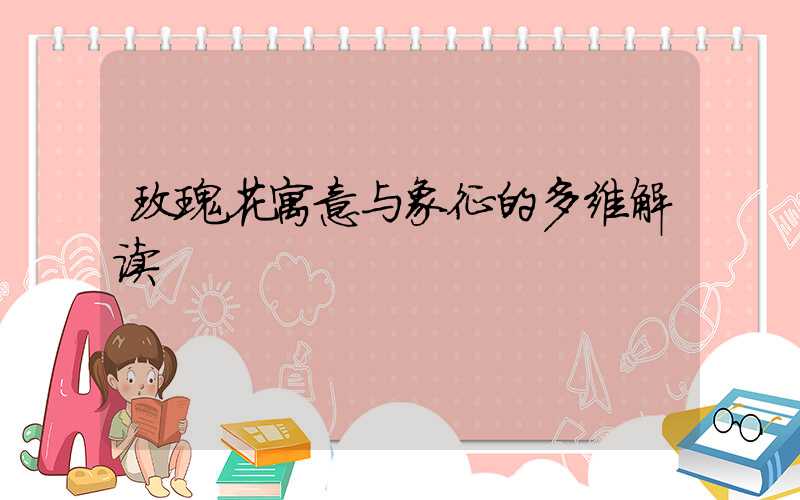 玫瑰花寓意与象征的多维解读