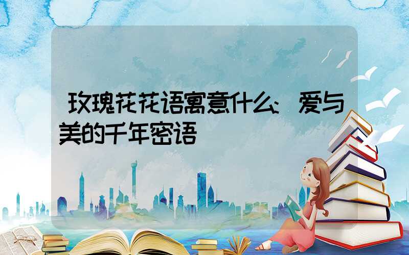 玫瑰花花语寓意什么:爱与美的千年密语