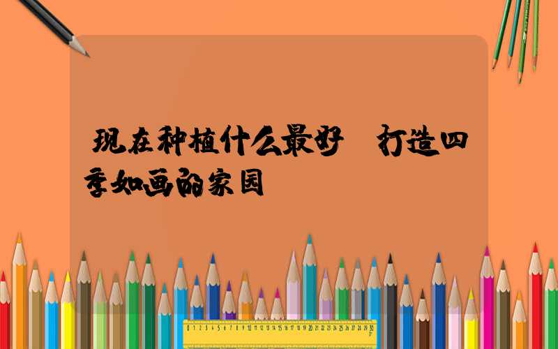 现在种植什么最好：打造四季如画的家园