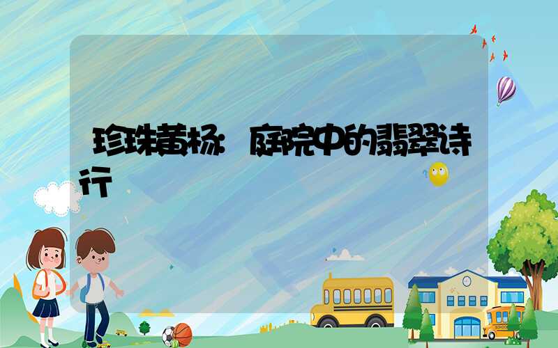 珍珠黄杨:庭院中的翡翠诗行