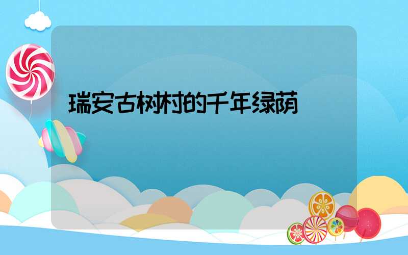 瑞安古树村的千年绿荫