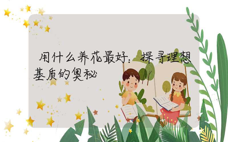 用什么养花最好：探寻理想基质的奥秘