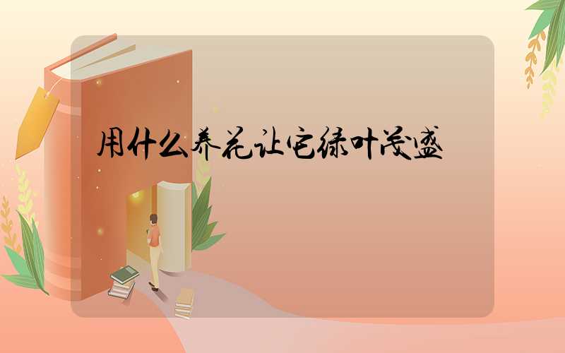 用什么养花让它绿叶茂盛