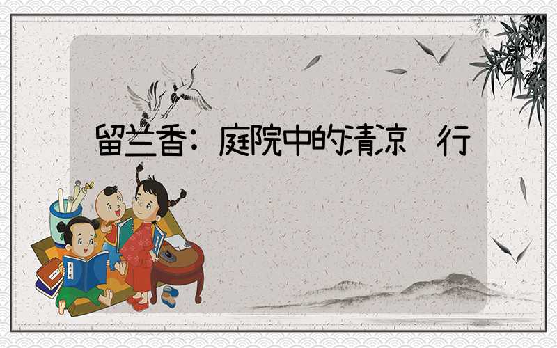 留兰香:庭院中的清凉诗行