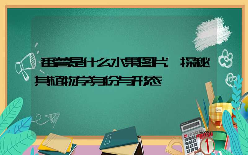 番薯是什么水果图片:探秘其植物学身份与形态