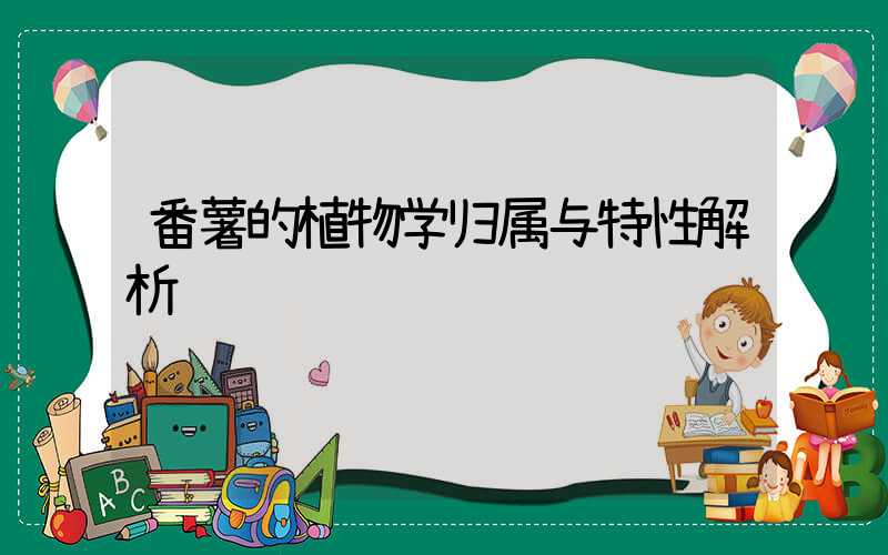 番薯的植物学归属与特性解析