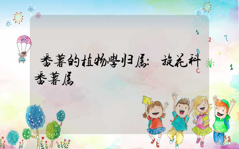 番薯的植物学归属：旋花科番薯属