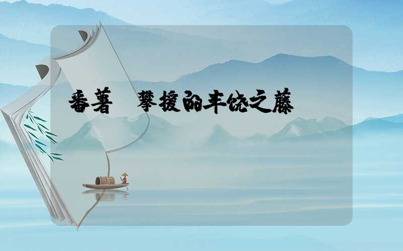 番薯：攀援的丰饶之藤