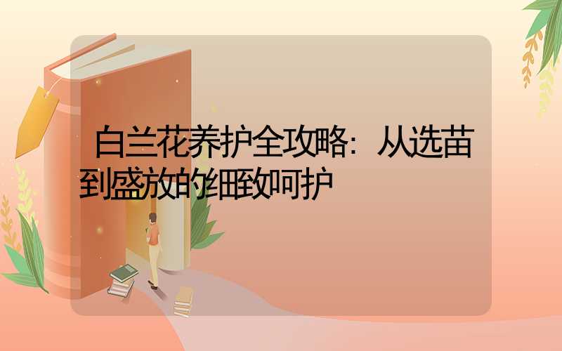 白兰花养护全攻略:从选苗到盛放的细致呵护