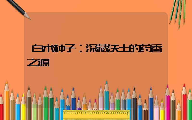 白术种子：深藏沃土的药香之源