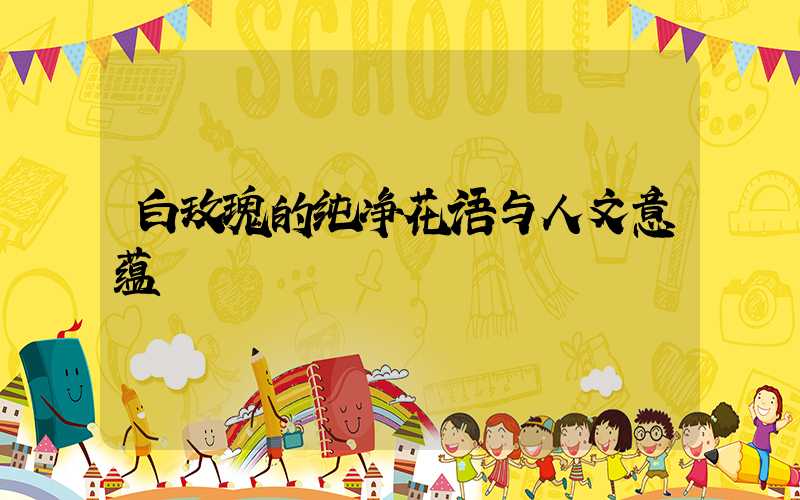 白玫瑰的纯净花语与人文意蕴