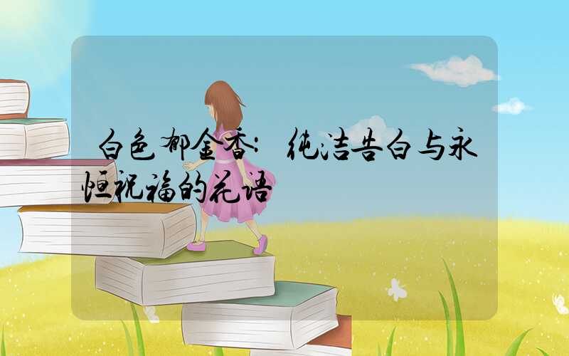 白色郁金香:纯洁告白与永恒祝福的花语