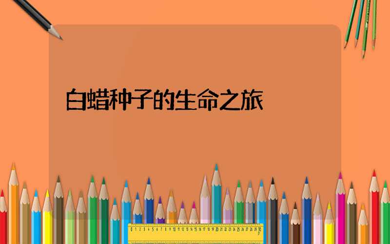 白蜡种子的生命之旅