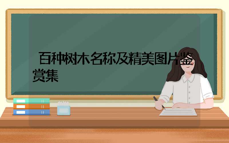 百种树木名称及精美图片鉴赏集