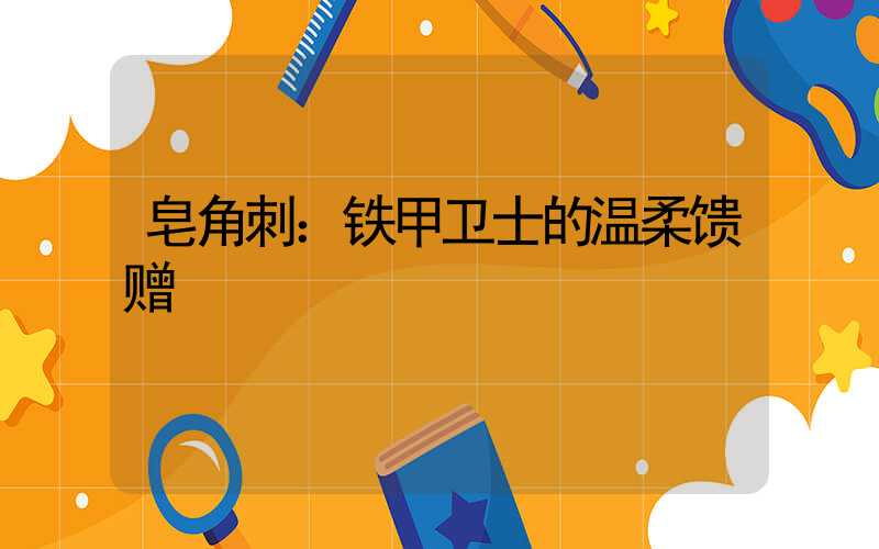 皂角刺：铁甲卫士的温柔馈赠