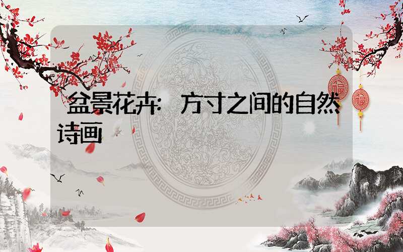盆景花卉:方寸之间的自然诗画