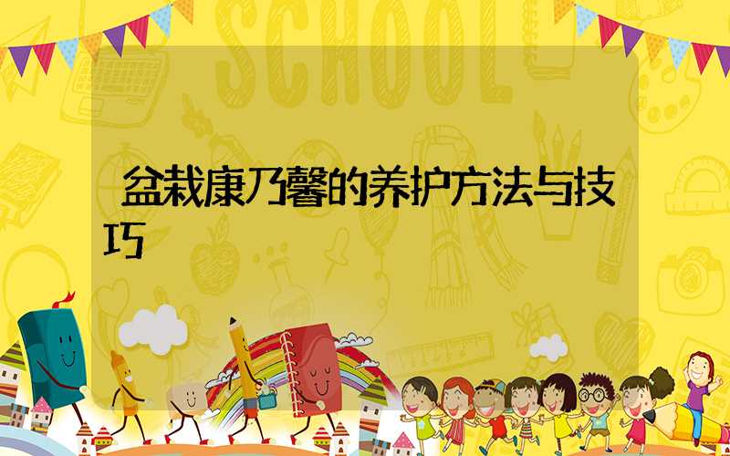 盆栽康乃馨的养护方法与技巧