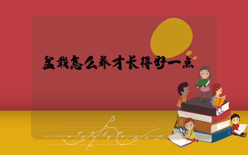 盆栽怎么养才长得好一点