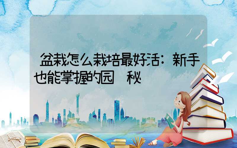 盆栽怎么栽培最好活:新手也能掌握的园艺秘诀