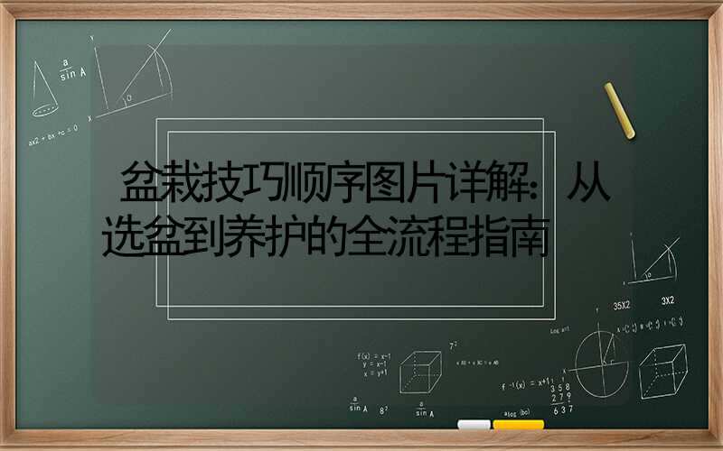 盆栽技巧顺序图片详解：从选盆到养护的全流程指南