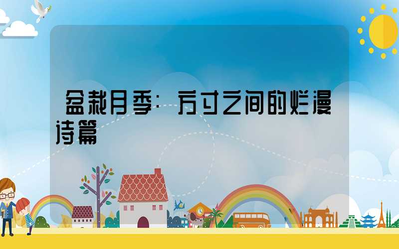 盆栽月季:方寸之间的烂漫诗篇