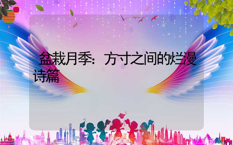 盆栽月季：方寸之间的烂漫诗篇