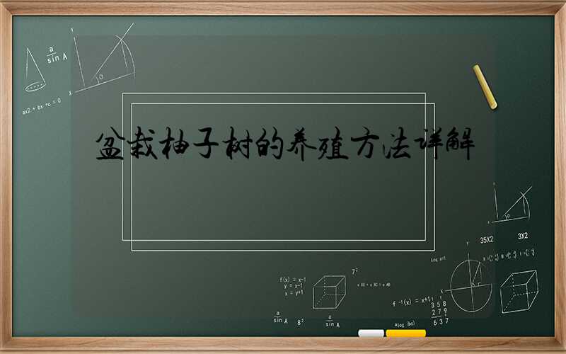 盆栽柚子树的养殖方法详解