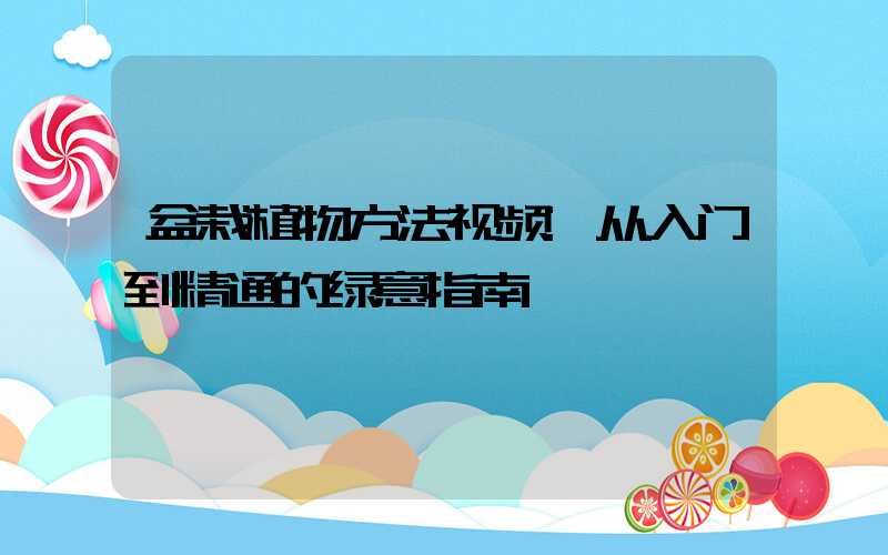 盆栽植物方法视频:从入门到精通的绿意指南