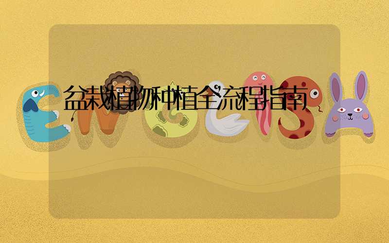盆栽植物种植全流程指南