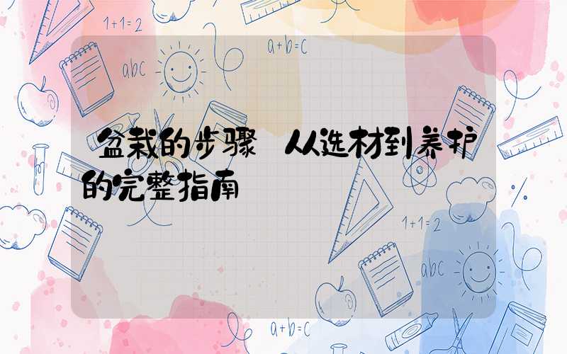 盆栽的步骤:从选材到养护的完整指南