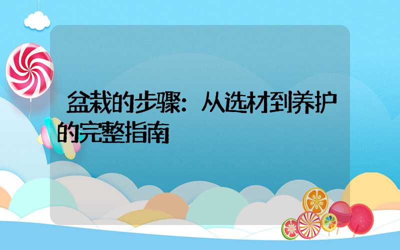 盆栽的步骤：从选材到养护的完整指南